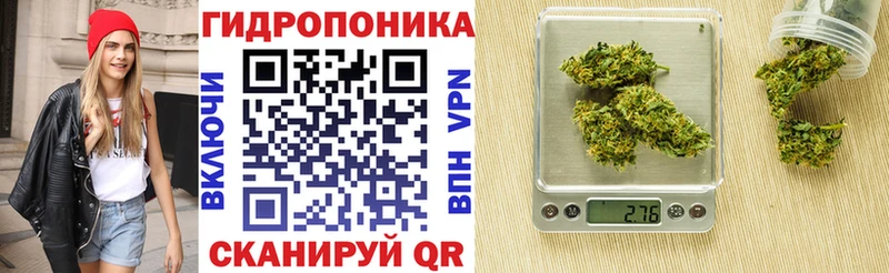 Шишки марихуана White Widow  хочу   Ноябрьск 